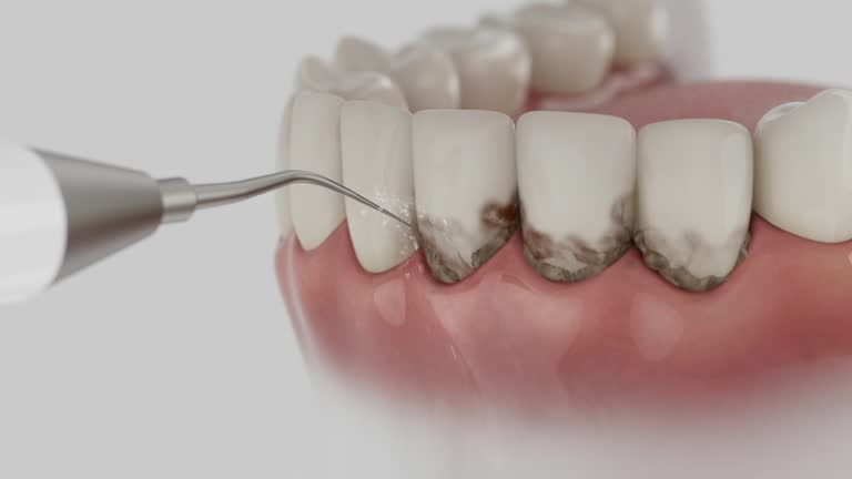 Reliable Dental contractor in Navajo, NM by Dentist Open Now